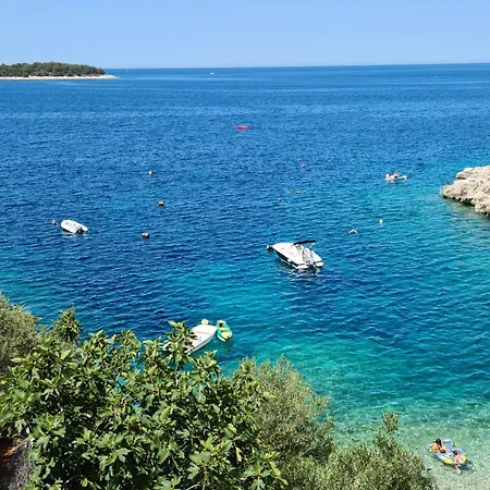 アパート Oasis Premium Twin *